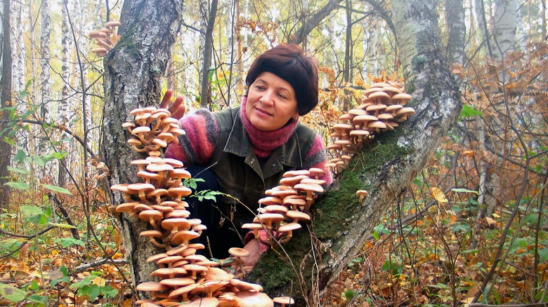 Woman looking at mushrooms on tree