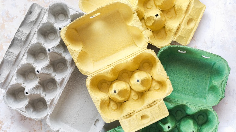 Empty egg cartons