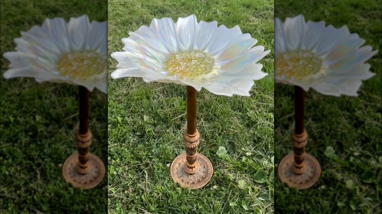 white flower on a lamp