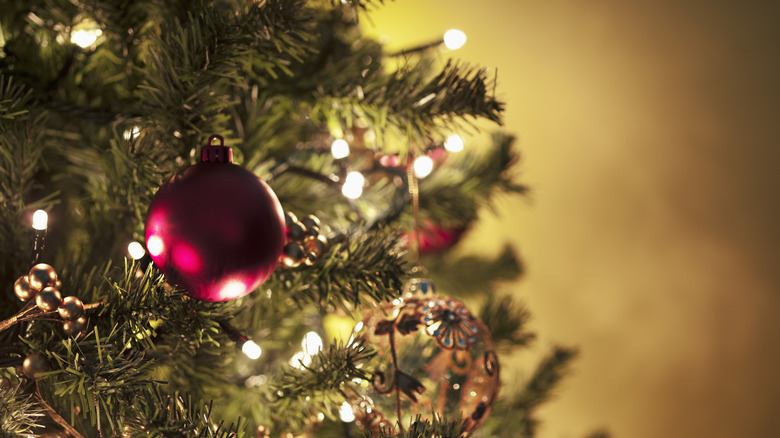 close up christmas tree branches