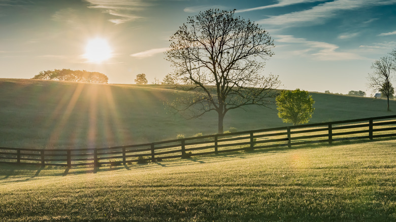 Fence on a hill