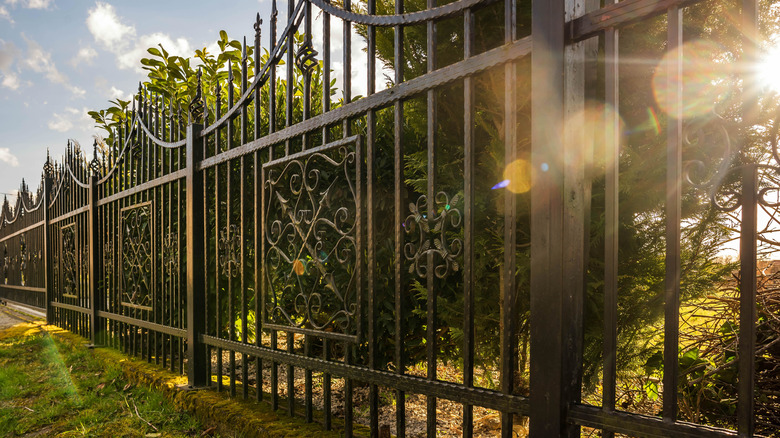 Wrought iron fence