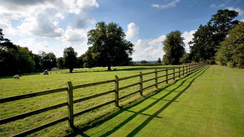 Fence in a pasture