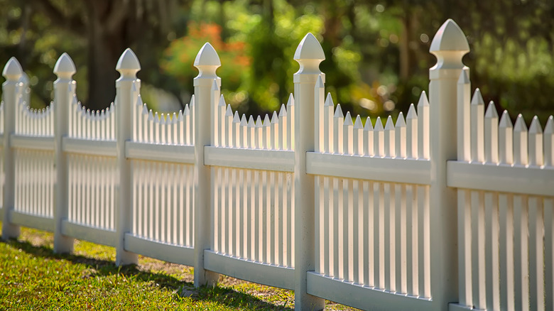 White picket fence