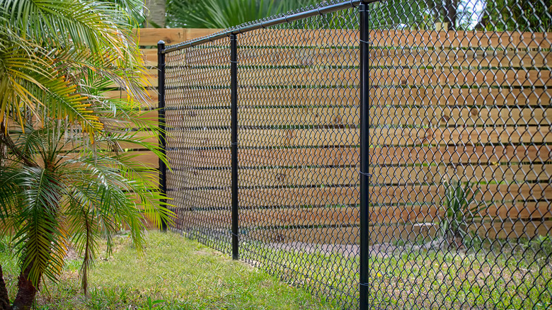 Chain link fence