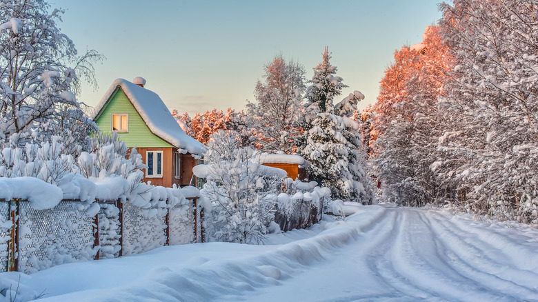 Winter day with snow-covered fencing