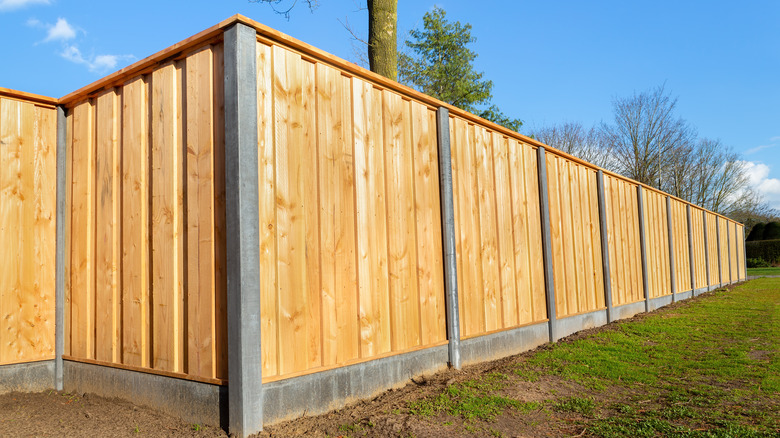 Wooden fence and yard