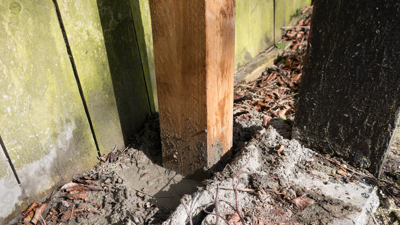 Fence post setting in concrete