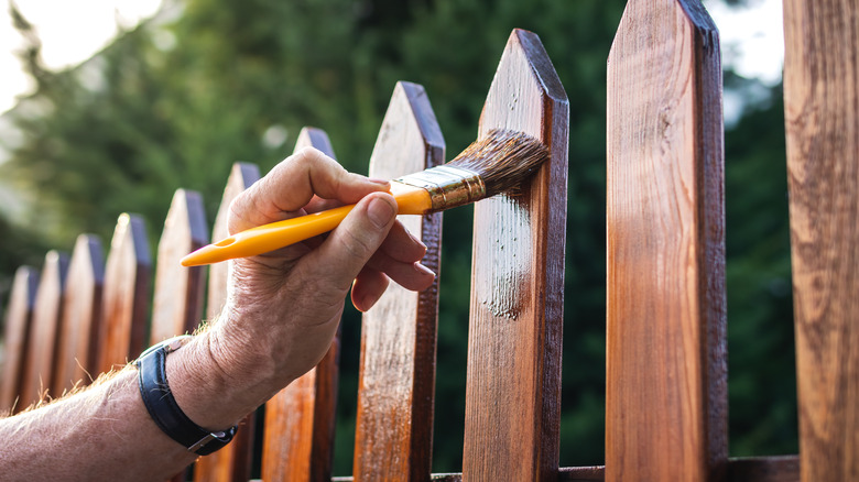 Man staining fence