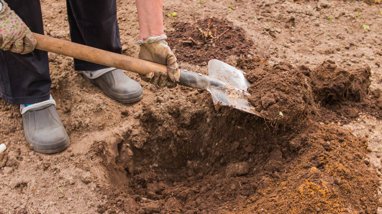 Individual shovels dirt