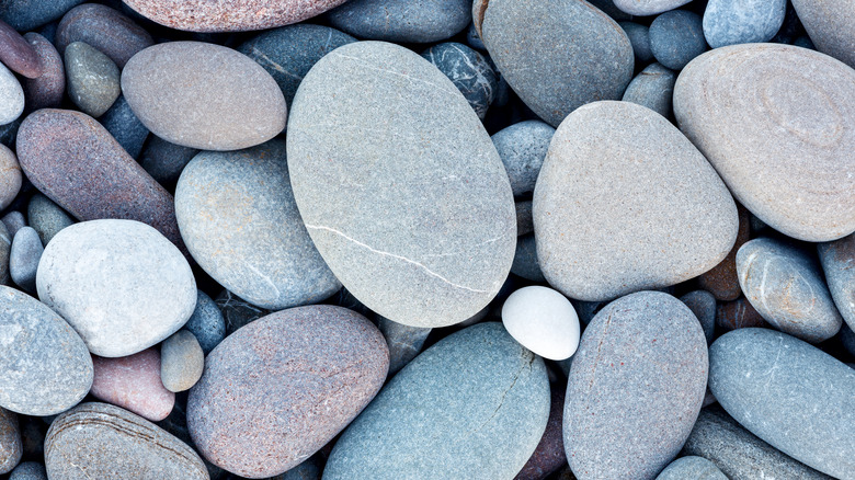 Close-up of rocks