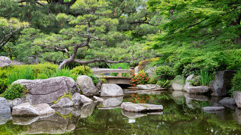 Beautiful garden with bridge and pond