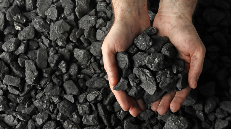 Hands holding black rocks