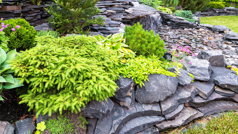 Landscaped rock garden area