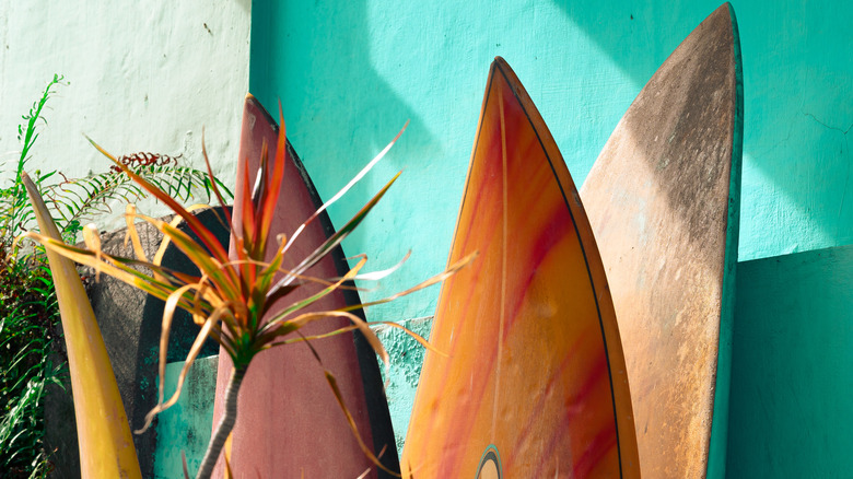 Teal wall with surfboards