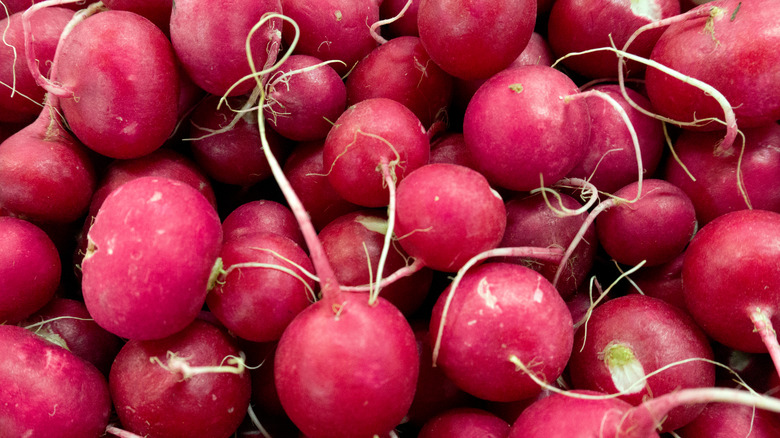 Pile of radishes close-up