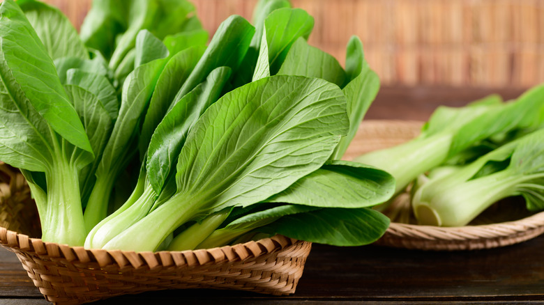 Bok choy in basket