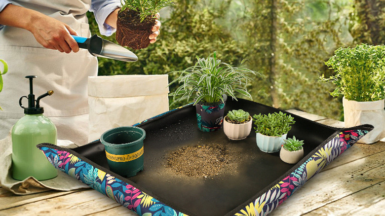 Repotting plants on foldable garden tray