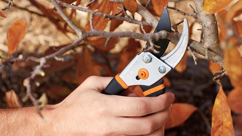 Fiskars pruning shears snipping a tree branch