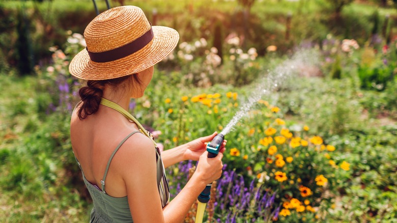 Gardener watering flowers with hose