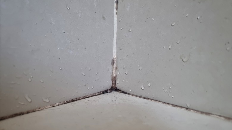 Mold on caulk on tub