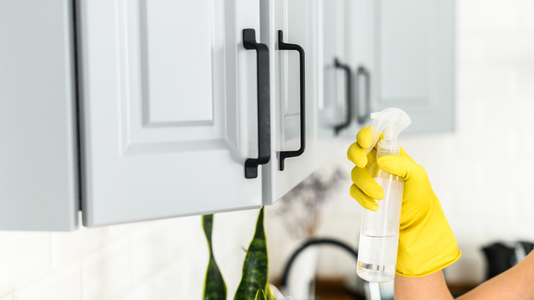 Gloved hand washing cabinet