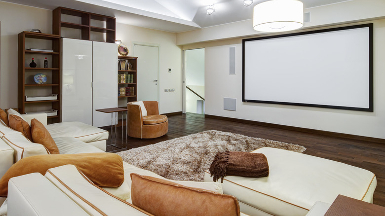 Home theater with shelving