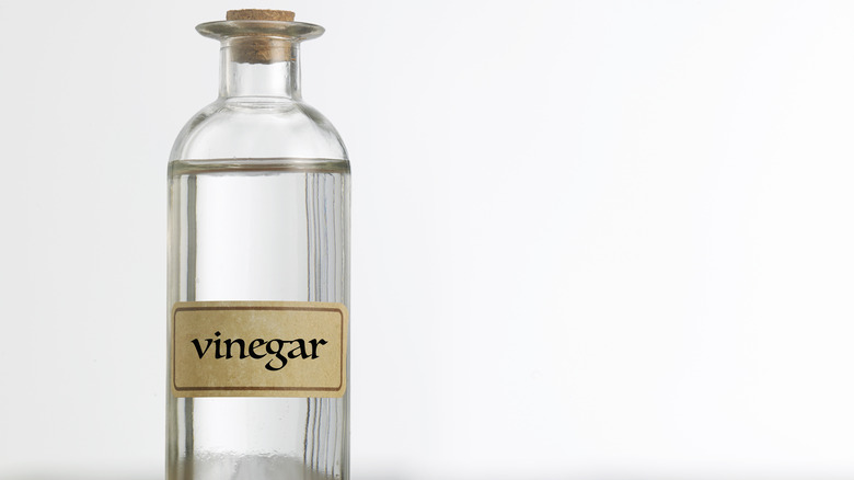 Corked bottle of vinegar