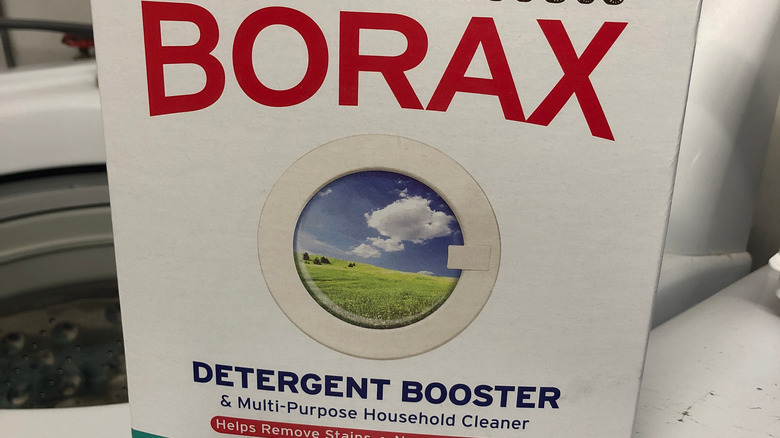 Borax sitting on top of washing machine