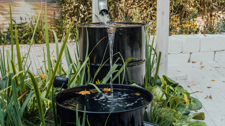 rain water garden runoff