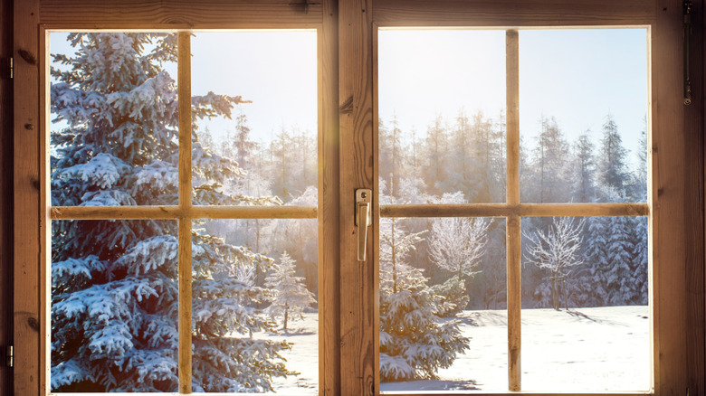 Window with snowy landscape