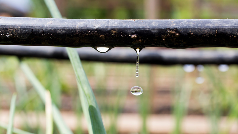 drip irrigation system garden