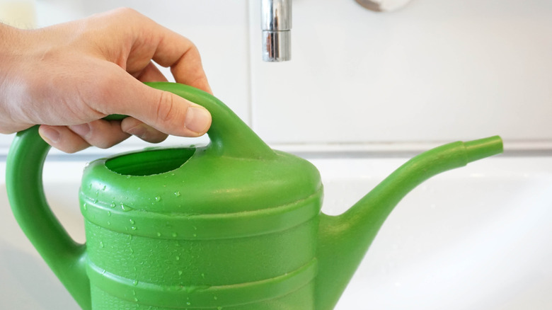 filling watering can