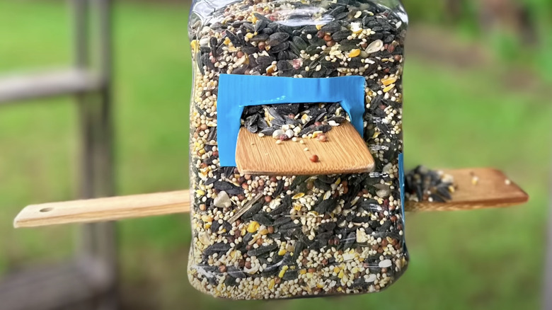 spatula and plastic container birdfeeder