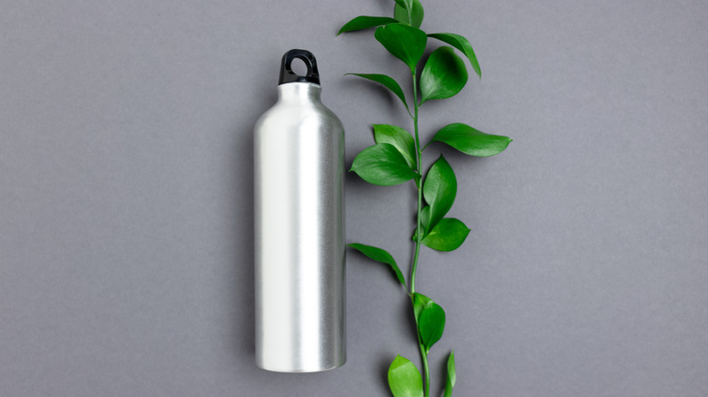 water bottle alongside plant cutting