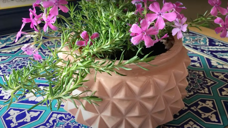 pink lighting cover repurposed as a planter