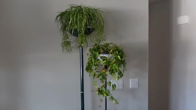 DIY planter made from floor lamps