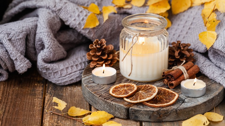 Dried citrus slices