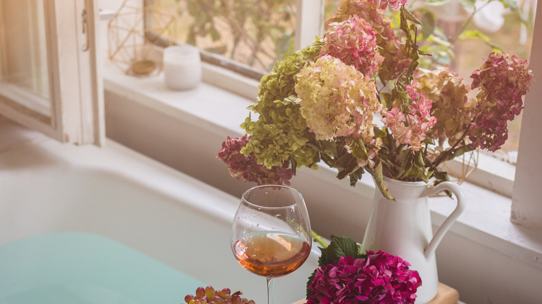 hydrangea plant and glass