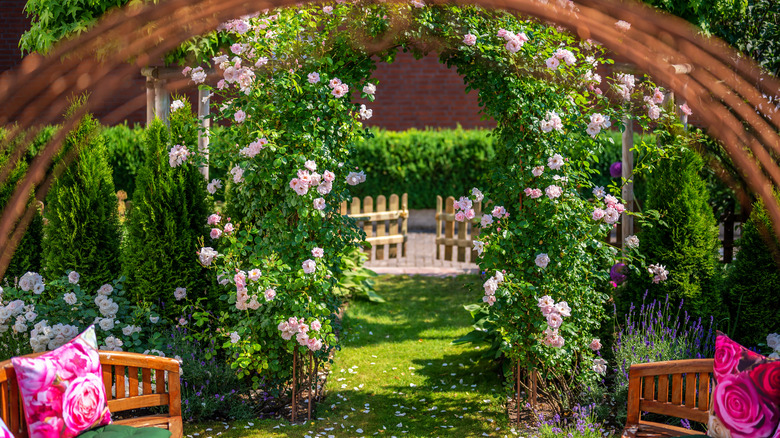 flower entrance in garden