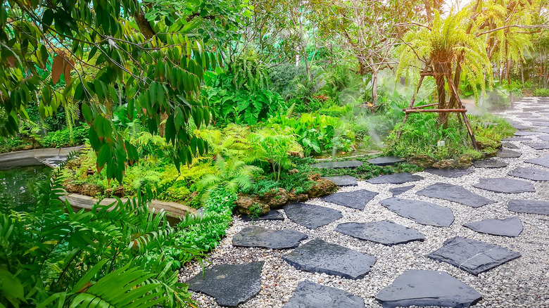 stone path in garden