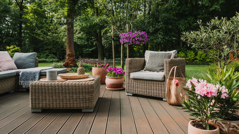 back porch with potted plants