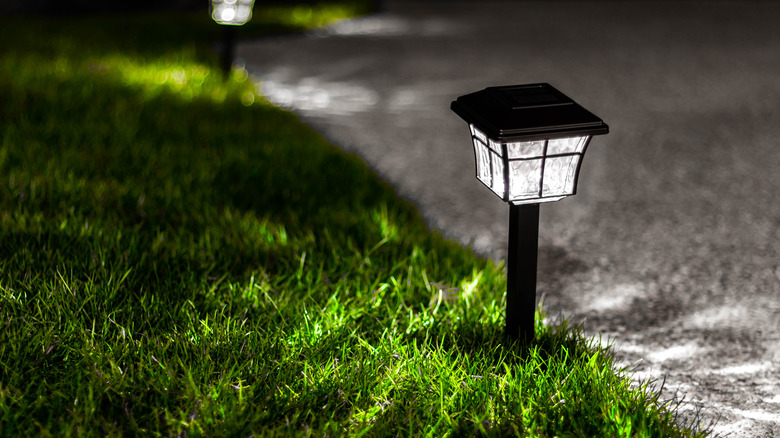 lights lining a driveway