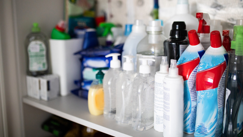 cleaning supplies in closet 