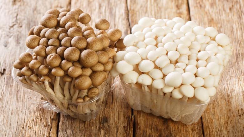 Brown and white beech mushrooms