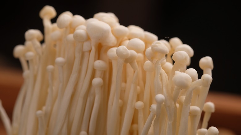 Small white enoki mushrooms