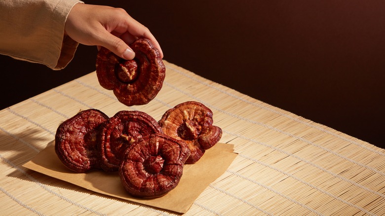 Reishi mushroom on table 