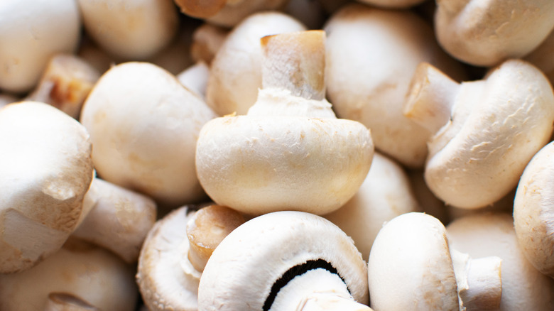 White button mushrooms close up