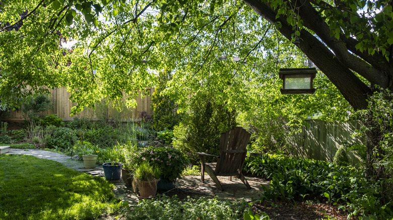 A garden seating area is shaded by a large tree