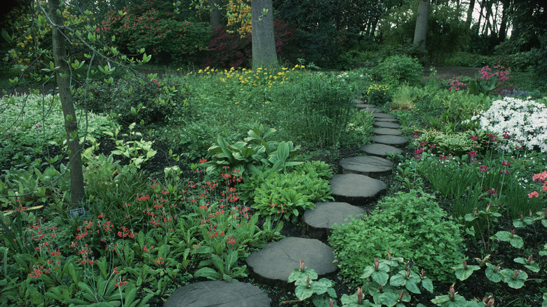 Flowers surround large steppingstones